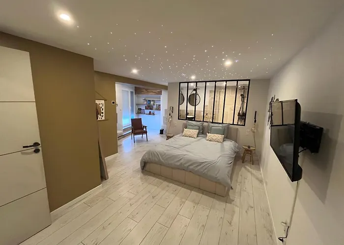 Lejlighed La Verriere Berges Du Tarn - Centre Historique